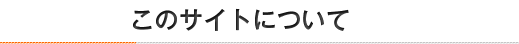 このサイトについて